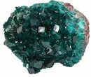 Exceptional Gemmy Dioptase Cluster - Namibia #44661-1